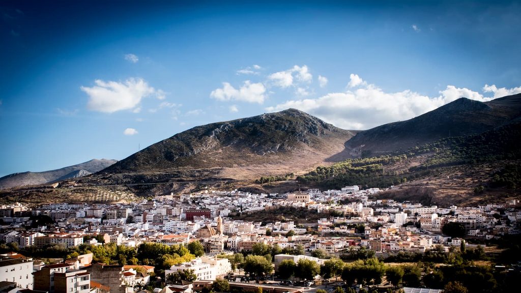 Restaurante Loja Arrozal Granada Poniente vistas de loja